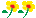 2 sunflowers