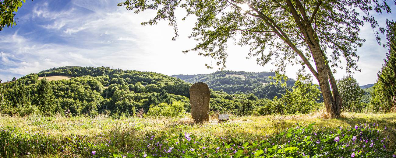 Statue-menhir de Pousthomy - ©Steloweb