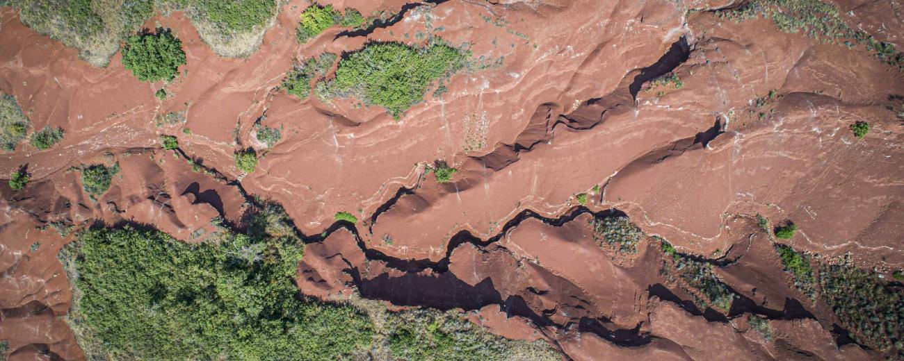 Rougier de Camarès - ©Steloweb