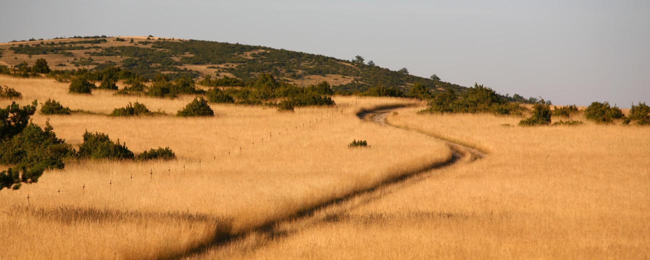 Paysage lunaire  ©Studio Martin