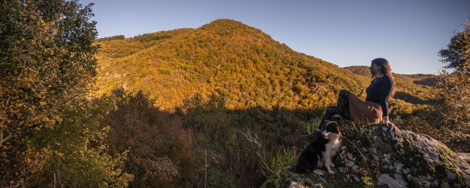 Balade dans les Raspes du Tarn en Automne avec son chien