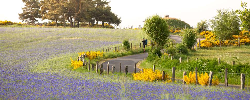 Sur le Chemin de Saint-Jacques de Compostelle au Printemps