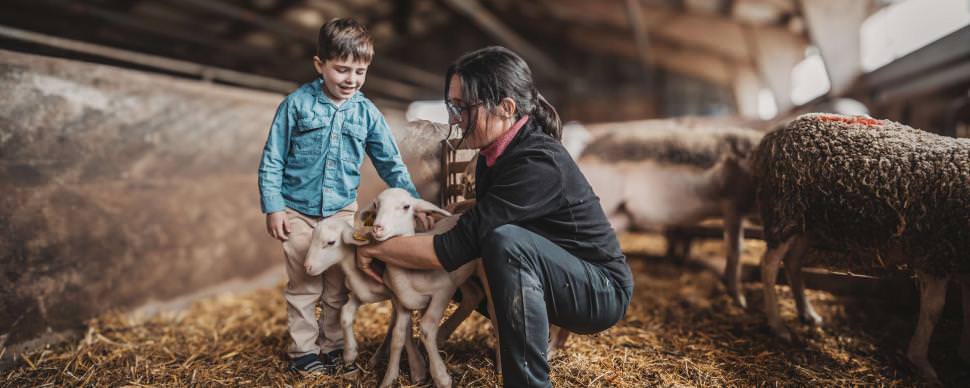 Enfant à la ferme, visite d'une ferme de brebis Les Vézinies ©G. Alric - Aveyron Attractivité Tourisme