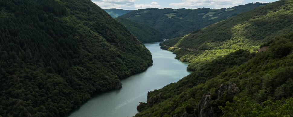 Vue sur les Raspes du Tarn, rivière et forêt