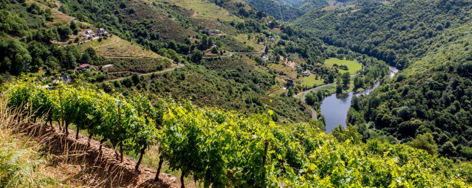 Coteaux du Fel Vallée du Lot en Aveyron ©P. Soissons - Aveyron Attractivité Tourisme