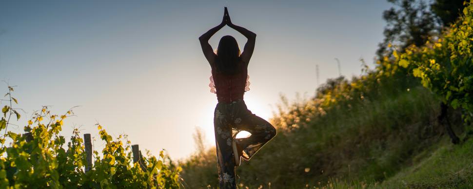 Yoga dans les vignes ©G. Alric - Aveyron Attractivité Tourisme