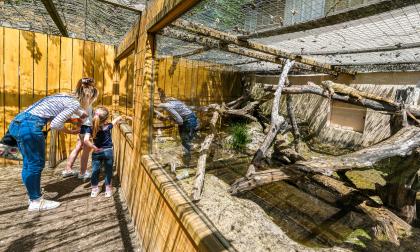 Sortie familiale au reptilarium du Larzac ©V.Govignon - Visit Larzac