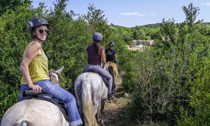 Sortie cheval sur le Larzac, domaine de Gaillac