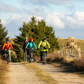 VTT sur l'Aubrac au Printemps ©B. Colomb - Lozère Sauvage, Aveyron Attractivité Tourisme