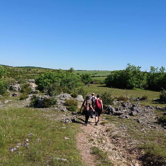 Paysage minéral du plateau de Guilhaumard