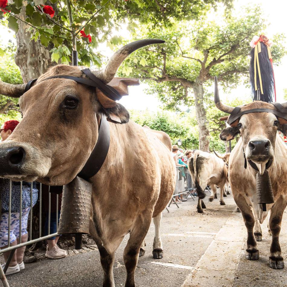 Fête de l'estive à Saint-Geniez d'Olt-© B. Colomb - Lozère Sauvage pour PACT Aubrac(2)