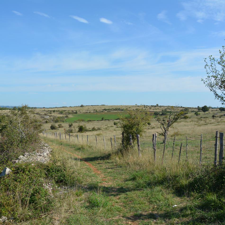 Le Causse © A.Causse-OTCM