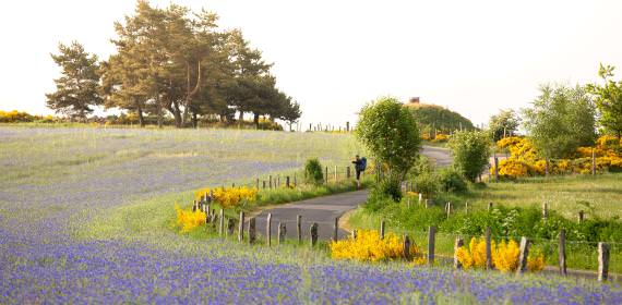 Sur le Chemin de Saint-Jacques de Compostelle au Printemps ©B. Colomb - Lozere Sauvage PACT Aubrac