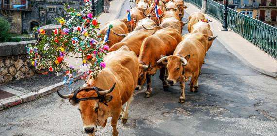 Transhumance, Fête de l'Estive à Saint-Geniez-d'Olt