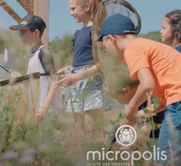 Vidéo de Micropolis, la cité des insectes à Saint Léons