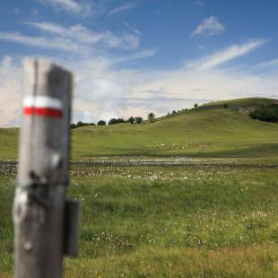 Randonner sur l'Aubrac ©T. Lambellin - FAHPA
