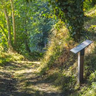 Sentier ethno-botanique en Ségala "al travers"