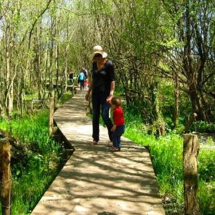 Zone Humide de Maymac