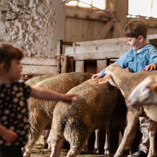 Les enfants découvrent la vie de la ferme ©G. Alric - Aveyron Attractivité Tourisme