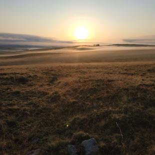 Plateau de l'Aubrac