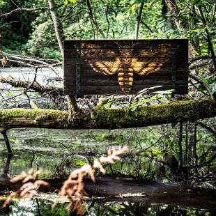 Œuvre du parcours de Land Art