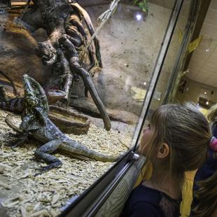 Reptilarium du Larzac