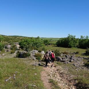 Paysage minéral du Guilhaumard