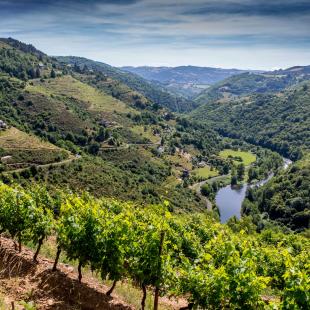 Coteaux du Fel Vallée du Lot ©P. Soissons - Aveyron Attractivité Tourisme