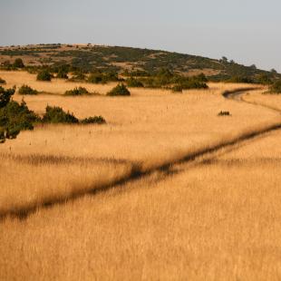 Le Larzac ©Studio Martin