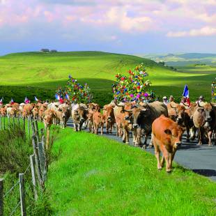 La Fête de la Transhumance sur l'Aubrac