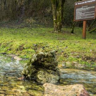 sources de l'Aveyron-florent ©Florent Deltort-photographe