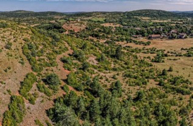 Exposition sur les Remparts du Larzac