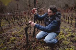 Domaine Mine de Vin ©Satellite Wines