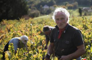 © Le Domaine Signols