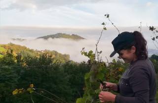 © Domaine des Buis