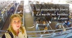 Les escapades de Marie en Aveyron - Le marché aux bestiaux de Laissac