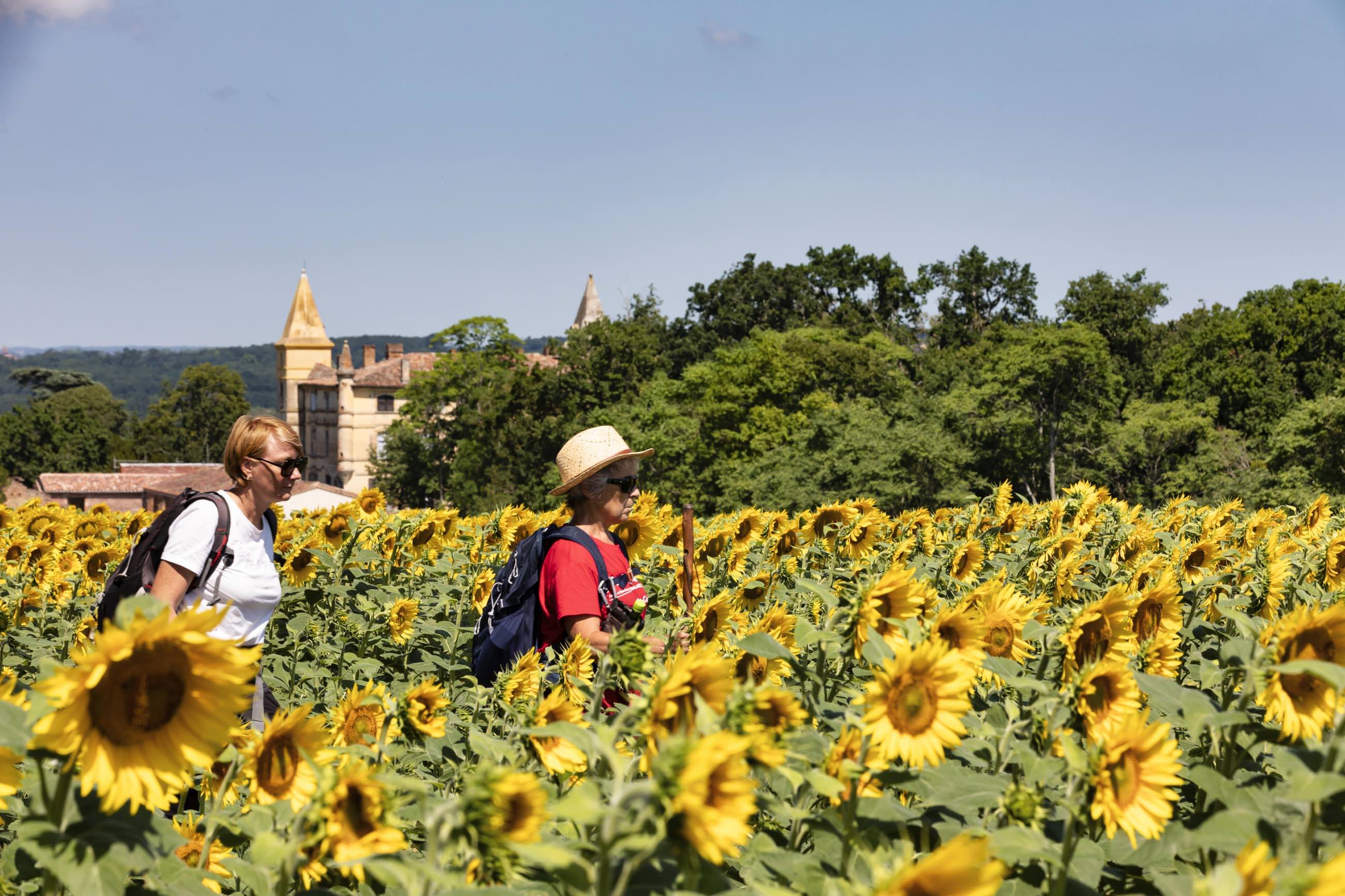 Randonneurs sur le GR46 ©Manuel Huynh