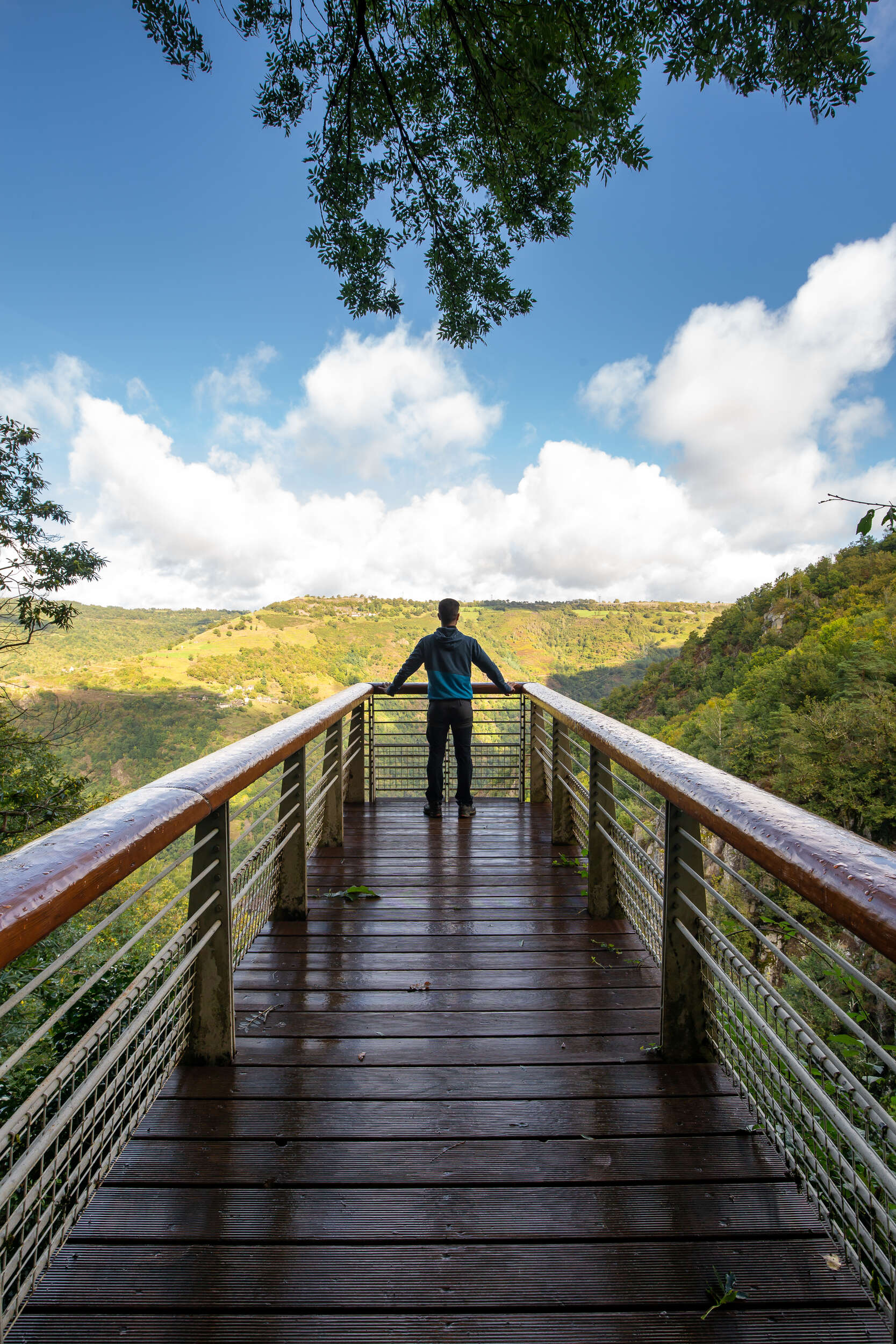 Point de vue au Saut du Chien ©B. Colomb - Lozère Sauvage pour PACT Aubrac
