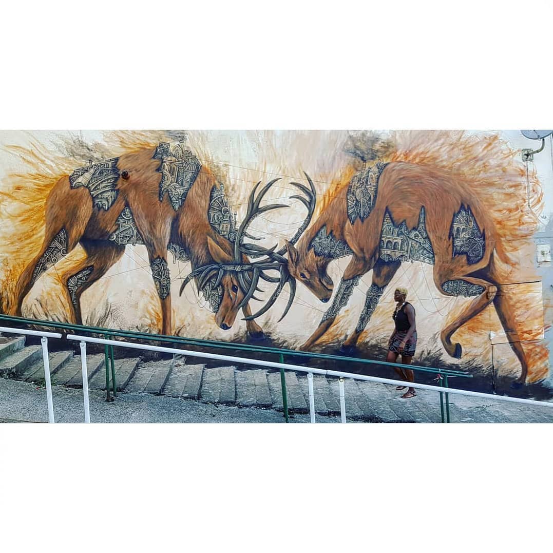 Combats de cerfs de Ardif ©S Murat - Decazeville Communauté