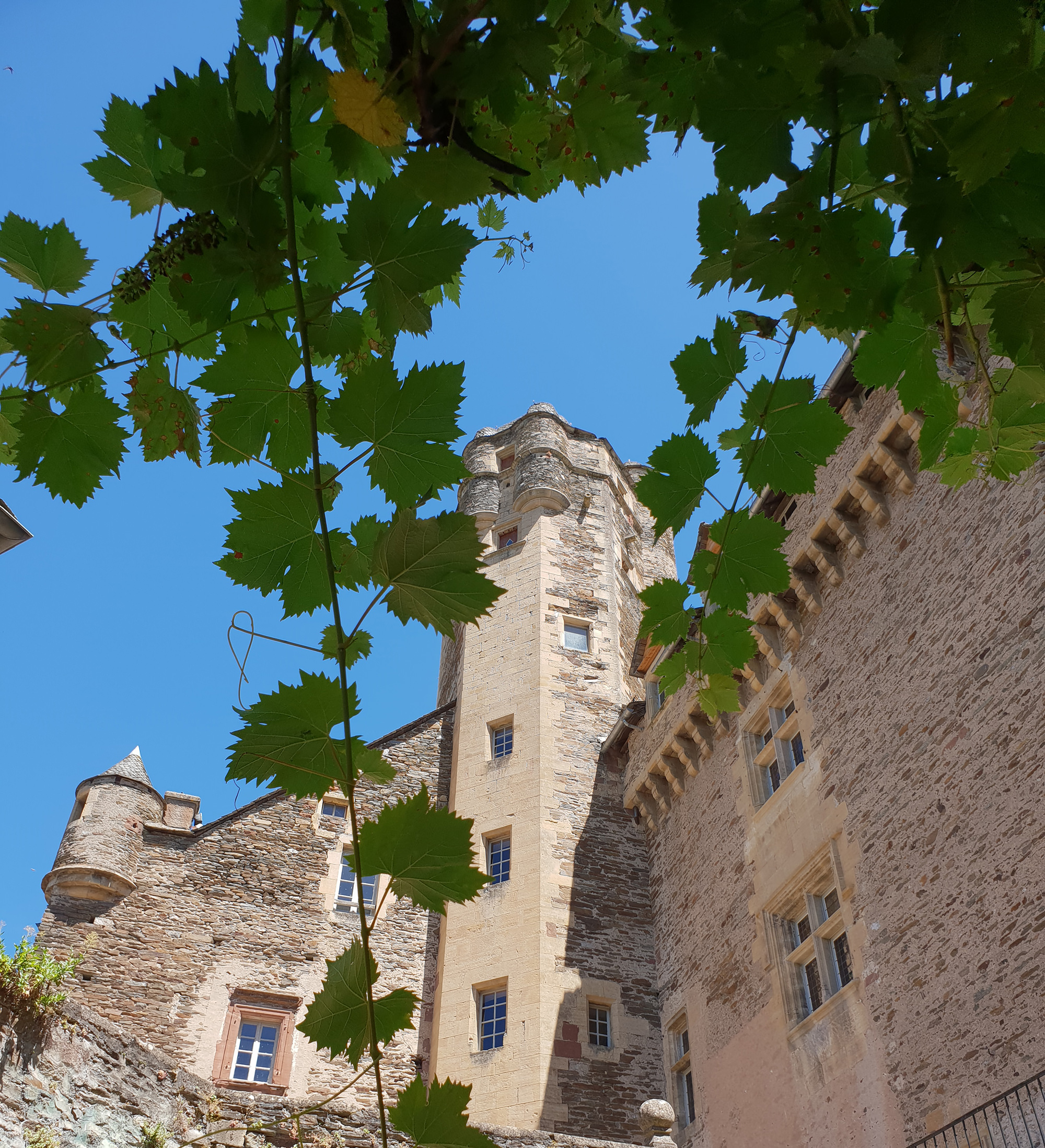 La tour depuis la tonnelle de vigne © AC Rollois