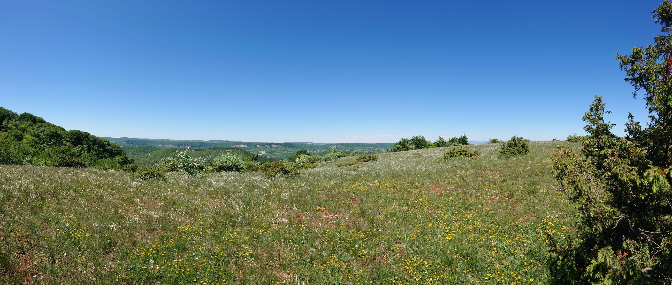 Pelouse sèche et panorama © Sandrine Perego