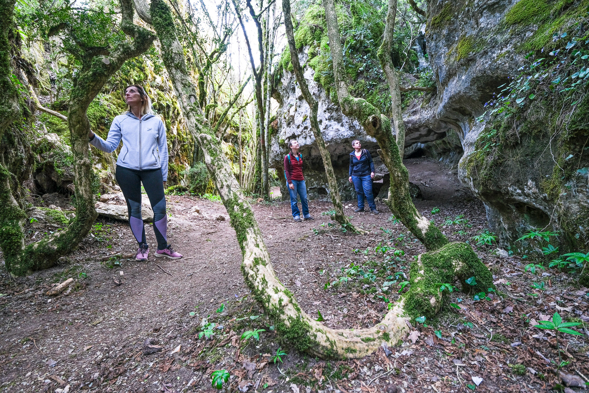 Randonnée dans les canalettes du Larzac © OT Larzac Vallées