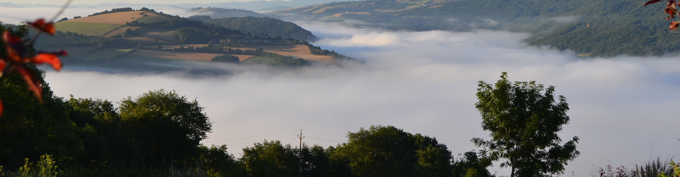 Descente dans la vallée © OT Réquistanais