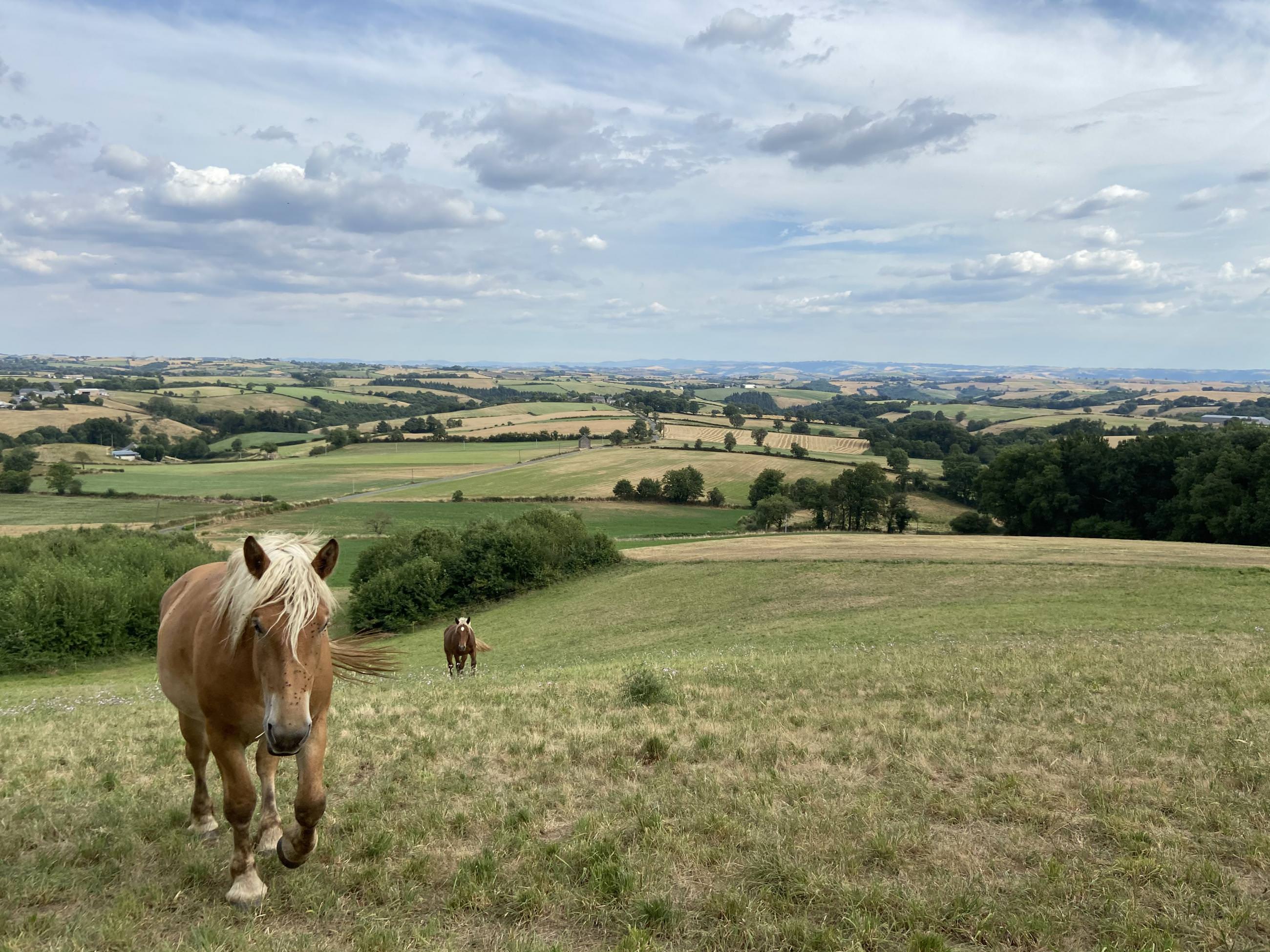 Plateau de Réquista © M.Boutet