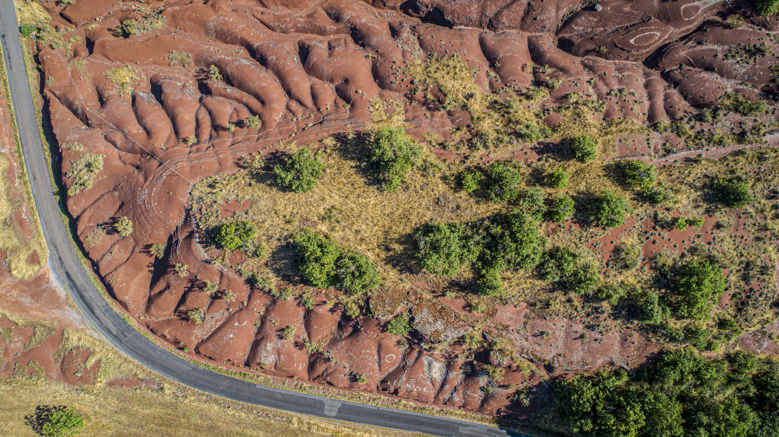 Rougier de Camarès ©Steloweb