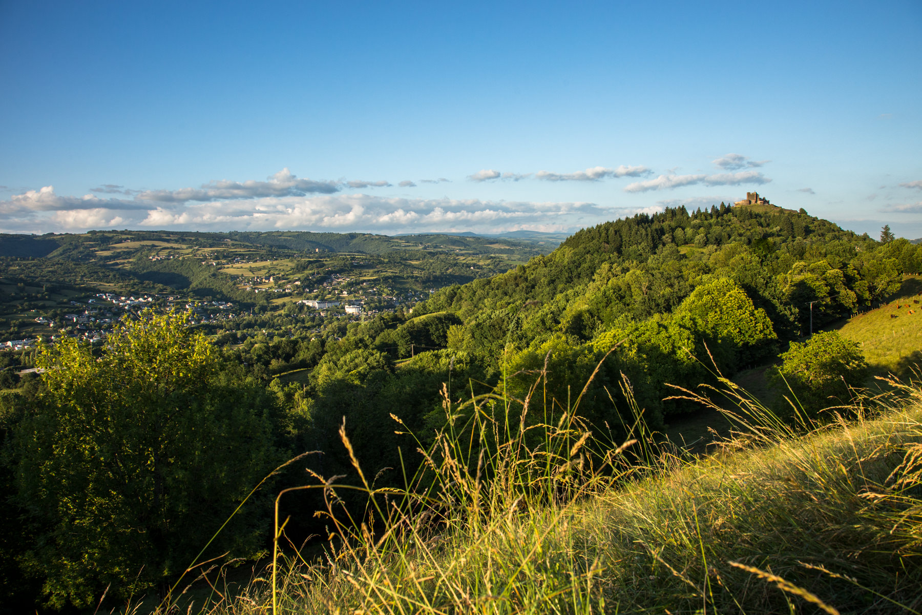 Vue sur le château de Calmont depuis la vallée du Lot ©Nicomphoto