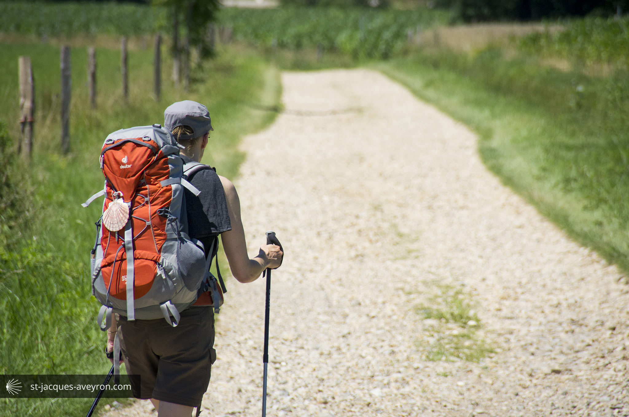 Chemin vers l'Église du Trédou de Sébrazac ©PER Saint-Jacques