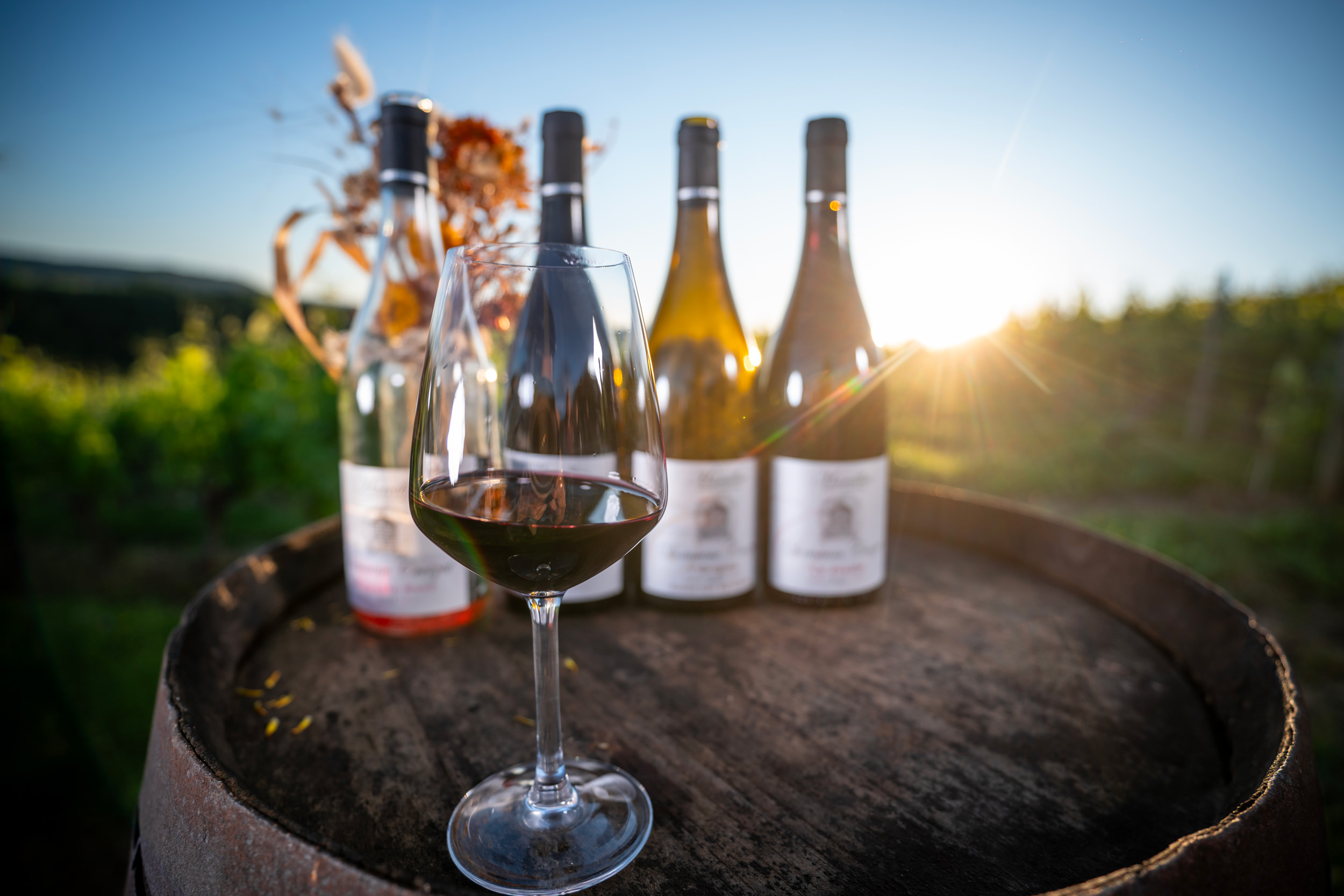 Les vins de l'Aveyron ©G.Alric - Aveyron-Attractivité-Tourisme